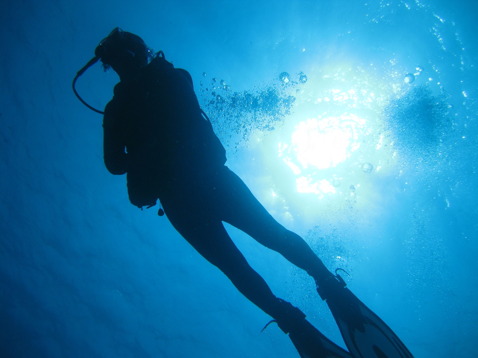 A scuba diver by Krystal International Vacation Club