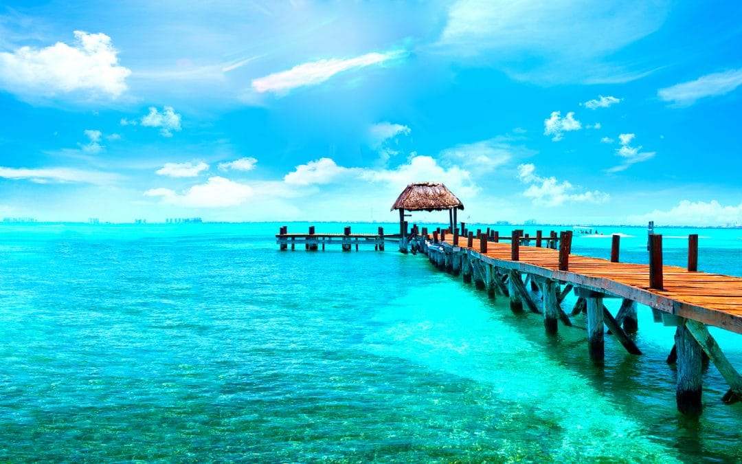 Exotic Paradise.