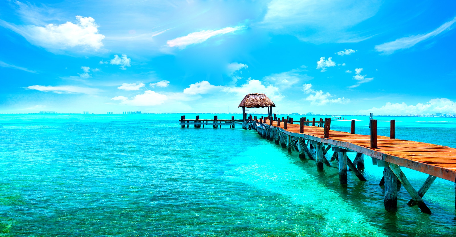 Exotic Paradise.