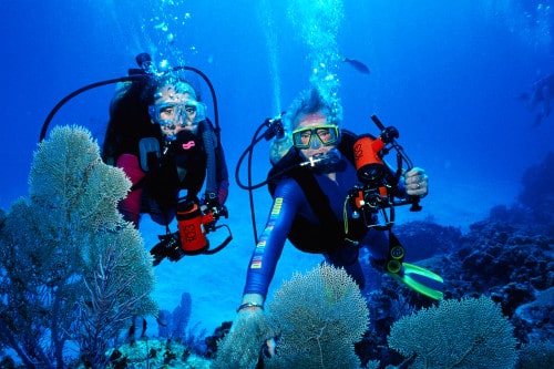 Best Snorkel Spots in Puerto Vallarta