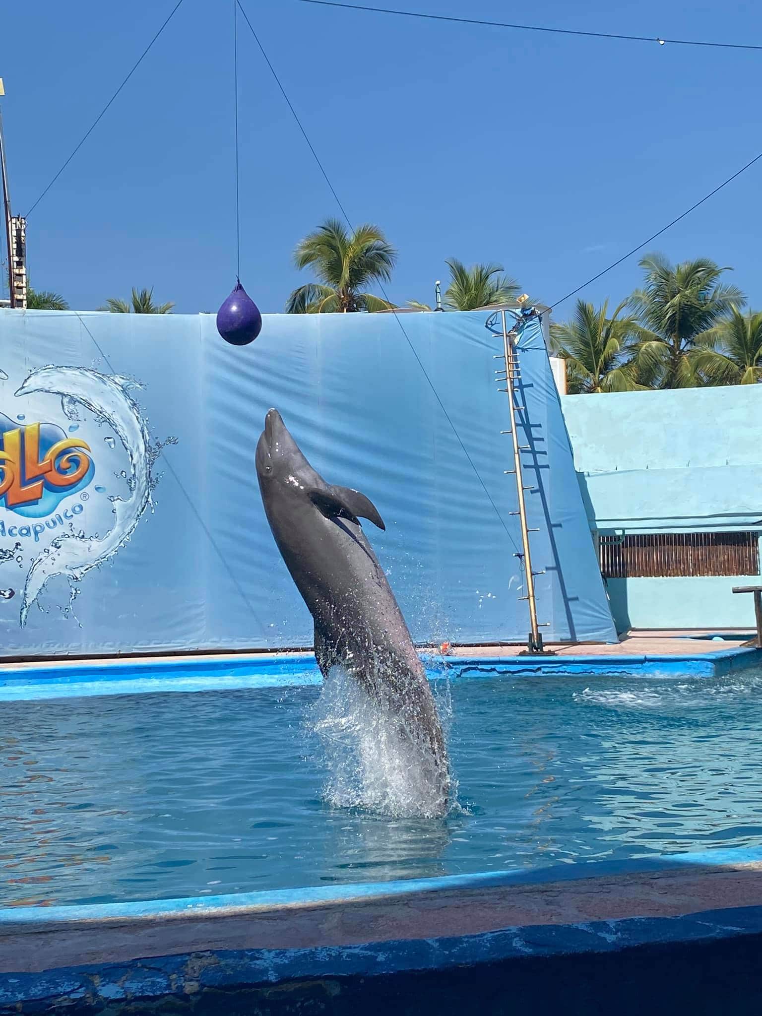 Krystal International Vacation Club Reviews CICI Water Park In Acapulco (2)
