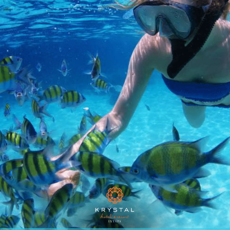 Krystal International Vacation Club Reviews Ixtapa Highlights (3)