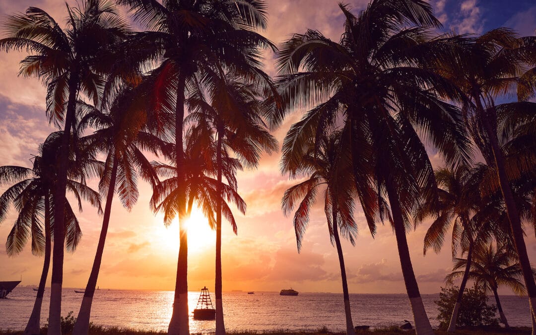 Krystal International Vacation Club Happening Mexico, For Your Family Vacations