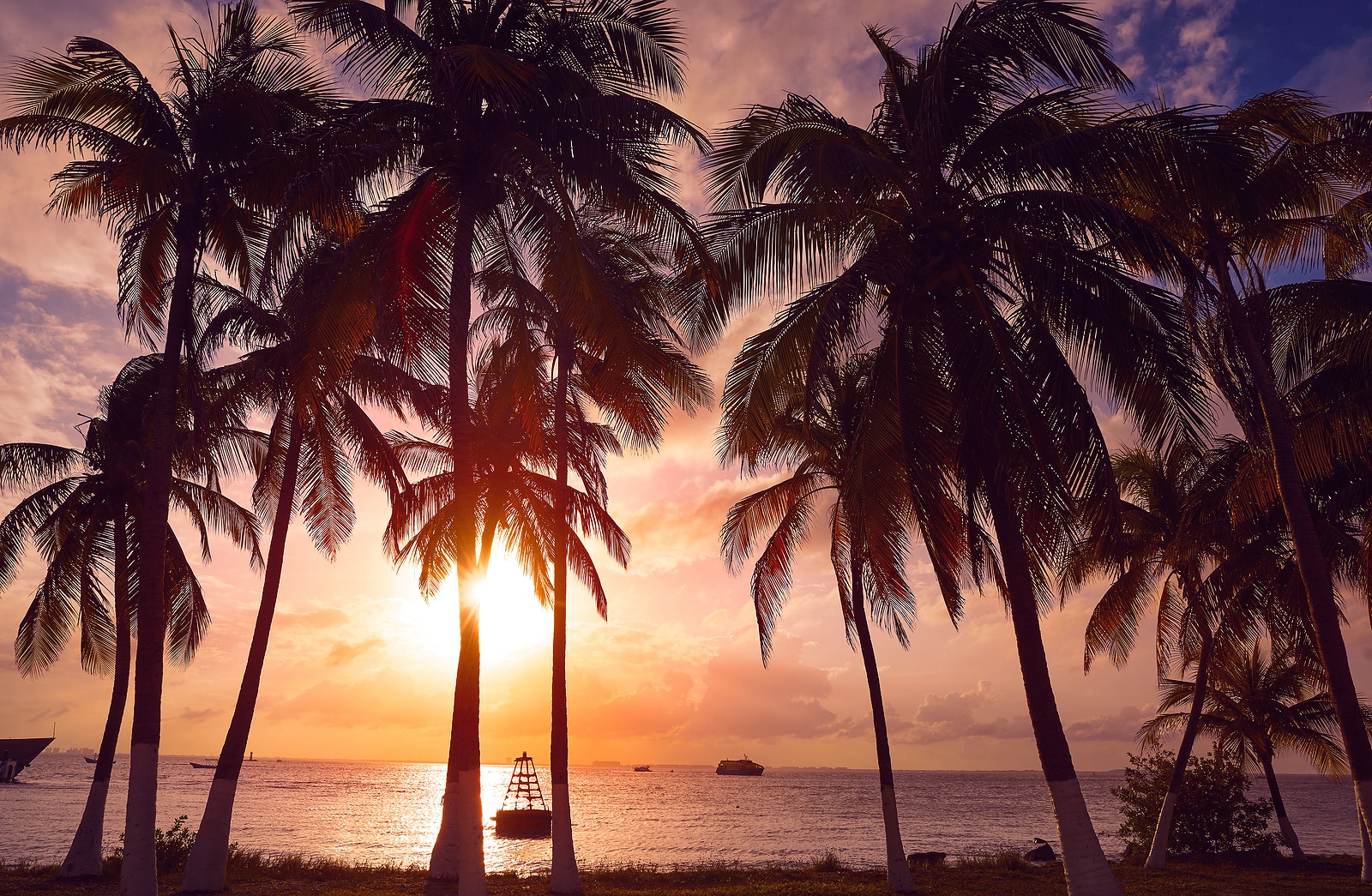 Krystal International Vacation Club Happening Mexico, For Your Family Vacations