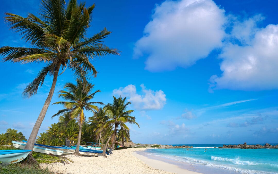 Krystal International Vacation Club Invites You to Discover The Best Mexico’s Cozumel Park
