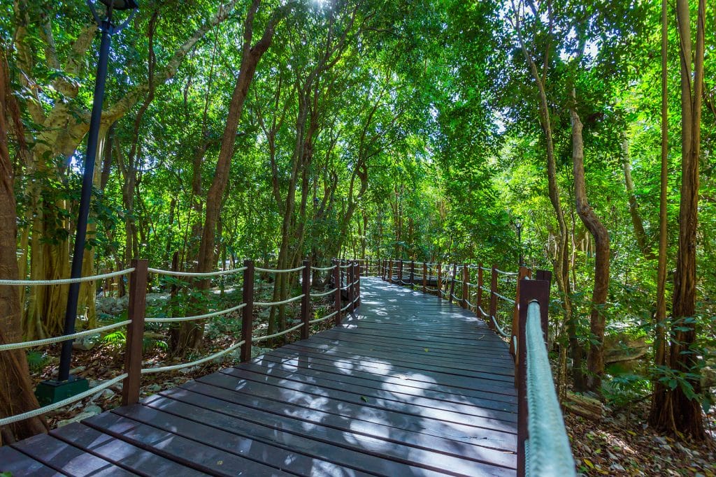 Krystal International Vacation Club Reviews Experience Parks Near Cancun 4